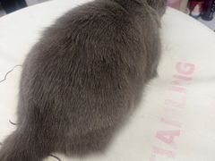 -FAELING PETS美天灵宠物(富力广场店)