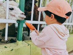 -荆州中山公园动物园