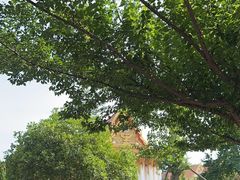 -洛阳白马寺