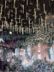 点击看大图 -花嫁丽舍婚礼殿堂(世博江景店)