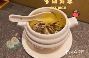 Bird Forest Stew