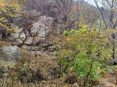 -大岭沟猕猴桃谷风景区