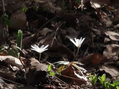 -终南山南五台景区