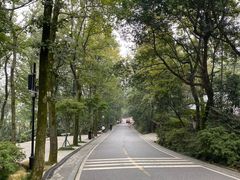 -岳麓山风景名胜区
