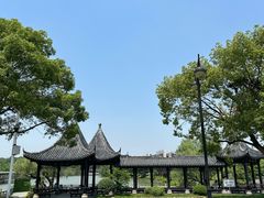 -八大山人梅湖景区