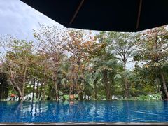 -三亚湾海居铂尔曼度假酒店