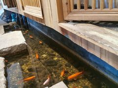 -邈墨茶馆(凤起路店)