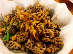 -Draft Beer Restaurant & Bar