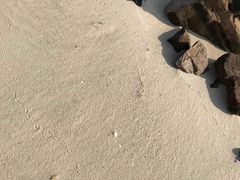 -北海金海湾红树林生态旅游区