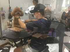 -Oh My Dog宠物沙龙(伊珊娜皮毛护理店)