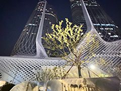 -国际青年会议酒店