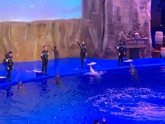 -华夏文旅海洋公园