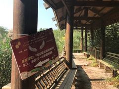 -大湾区中央湿地公园