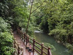 -广州市石门国家森林公园