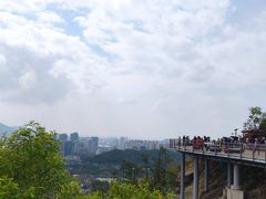 -板樟山森林公园