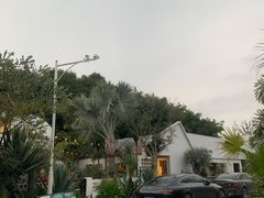 -自由生长植物工作室(深港花卉中心店)