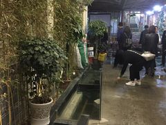 -农轩·醉黄冈