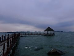 -瑶湖郊野森林公园