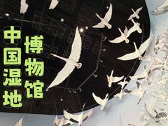 -中国湿地博物馆