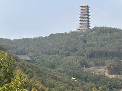 -大伊山景区