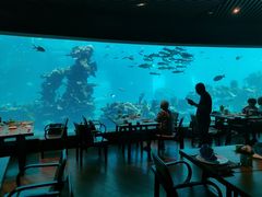 -海棠湾洲际-涛·海底餐厅·美人鱼·自助餐·海底隧道