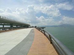 -演武大桥观景平台