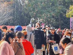 -人民公园-相亲角