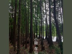 -东湖磨山景区