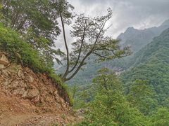 -秦岭风景区