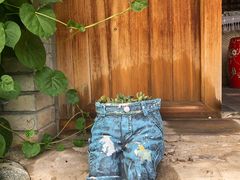 -百里峡七彩艺术小镇