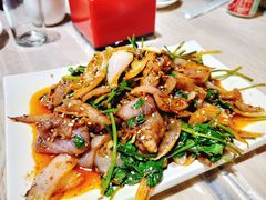 -大东北(武侯祠店)
