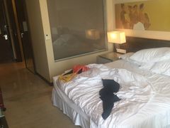 -芽庄喜来登水疗酒店