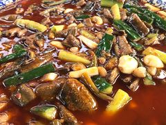 -高坎一品甲鱼庄(两河店)