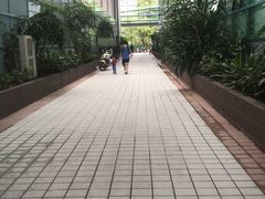 -宝安体育馆游泳馆