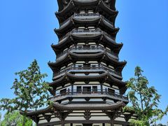 -洋湖国家湿地公园