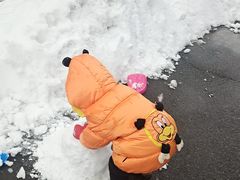 -哈尔滨东北铁锅炖(都督街店)