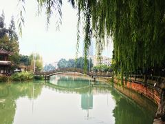 -温江公园