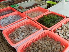 -南沙十九涌渔人码头-南门