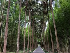 -中国科学院西双版纳热带植物园