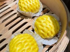 -寨子里的钵钵菜-湘西山里菜(火车站店)