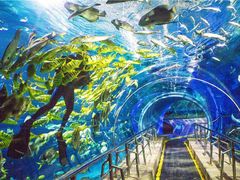 -太平洋海底世界