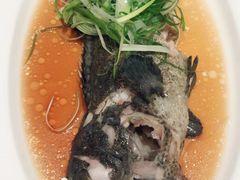 清蒸虎斑-云龙轩(迪士尼探索家度假酒店)