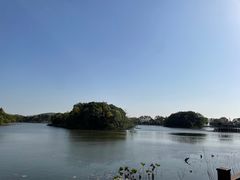 -上海市保健医疗中心