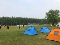 -黄海国家森林公园