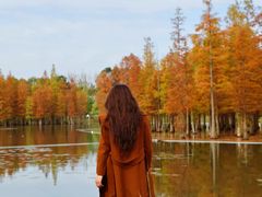 -白鹭湾湿地公园