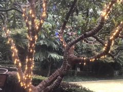 -马勒别墅·中餐厅