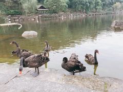 -两江国际影视城