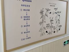-瑞思英语·少儿英语启蒙(河西·梅江第六田园校区)