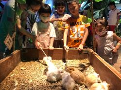 -酷嗒动物文化乐园(cutezoo西溪乐天城店)