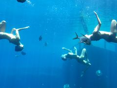 -瑞德姆美人鱼海底演艺主题餐厅(亚龙湾店)